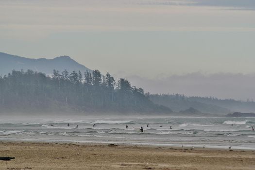 A crowd of Surfers in the Waves in Tofino in British Columbia in Canada. High quality photo