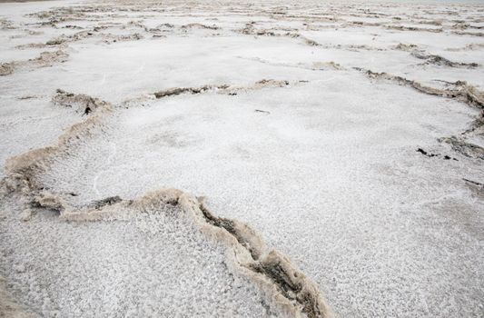 The salt flats showing cracks in the ground