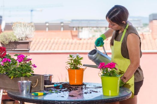 Portrait of woman watering green plants on the balcony, small cozy garden in apartment