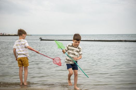 Two sibling little brother boy exploring the beach at low tide walking towards the sea coast. Friendship happy childhood concept.