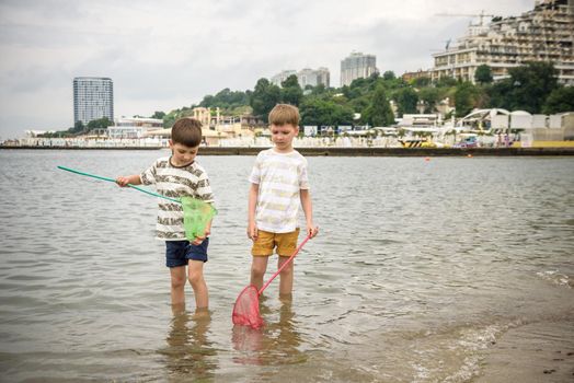 Two sibling little brother boy exploring the beach at low tide walking towards the sea coast. Friendship happy childhood concept.