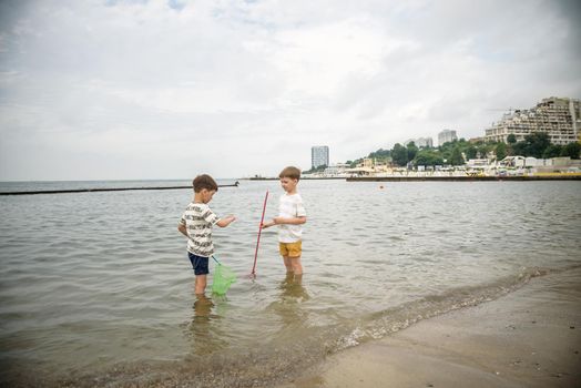 Two sibling little brother boy exploring the beach at low tide walking towards the sea coast. Friendship happy childhood concept.