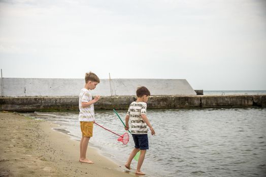 Two sibling little brother boy exploring the beach at low tide walking towards the sea coast. Friendship happy childhood concept.