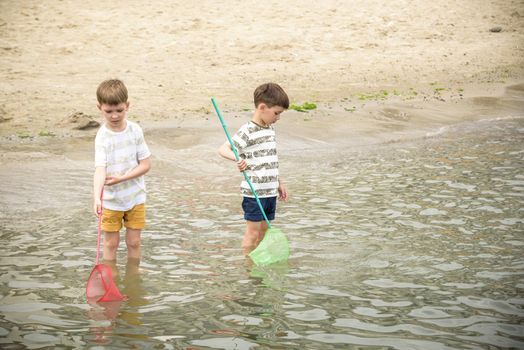 Two sibling little brother boy exploring the beach at low tide walking towards the sea coast. Friendship happy childhood concept.