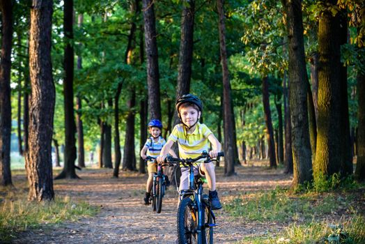 Two little boys children having fun on Balance Bike on a country road. Healthy lifestyle concept