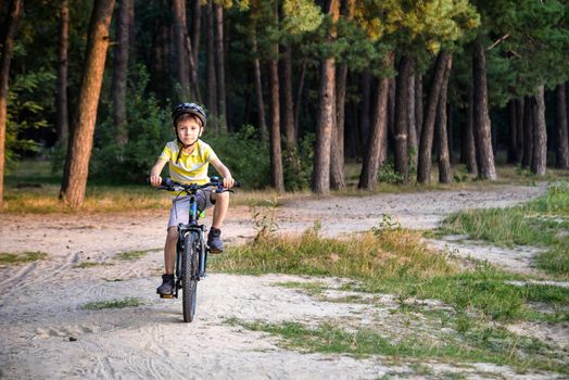 Portrait of happy active teenage boy in safety helmet relaxing after school riding his bike in beautiful park on sunny autumn day.