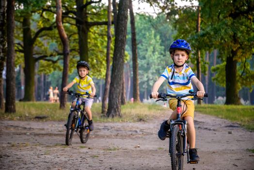 Two little kid boys in colorful casual clothes in summer forest park driving bicycle. Active children cycling on sunny fall day in nature. Safety, sports, leisure with kids concept.