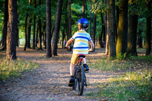 Portrait of happy active teenage boy in safety helmet relaxing after school riding his bike in beautiful park on sunny autumn day.