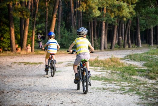 Family in the park on bicycles. two sibling brothers kids boys compete in riding. view from back.