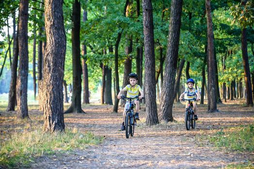 Two little boys children having fun on Balance Bike on a country road. Healthy lifestyle concept