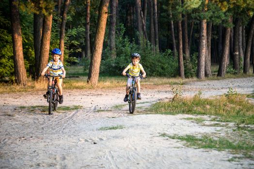 Two active little sibling boys having fun on bikes in forest on warm day. Healthy leisure with children concept.