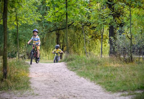 Two little boys children having fun on Balance Bike on a country road. Healthy lifestyle concept