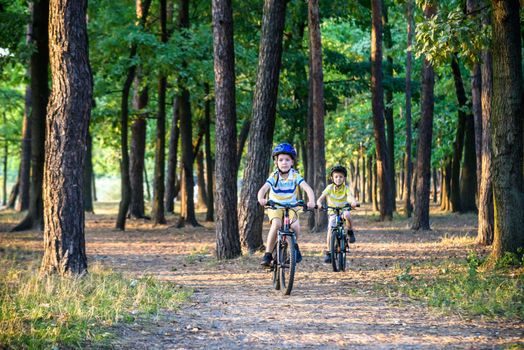 Two little boys children having fun on Balance Bike on a country road. Healthy lifestyle concept