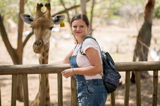 a woman feeds a giraffe at the zoo