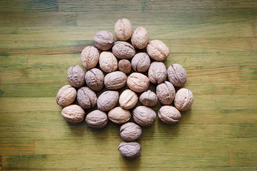 tree made from walnuts on the vintage wooden background