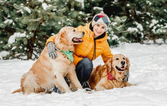 Golden retriever dogs in winter time with girl owner posing in snow. Young woman looking at camera with doggy pets in forest in cold weather