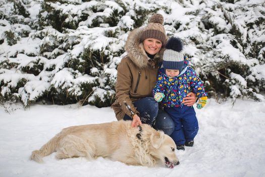 Beautiful mother and son playing with my dog in the snow. Golden Retriever