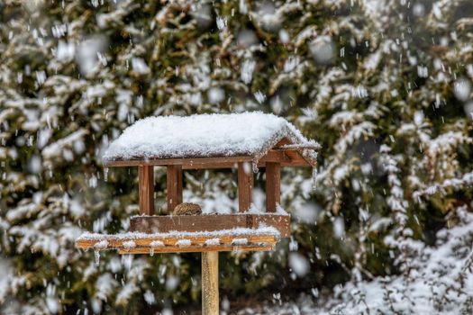 homemade wooden birdhouse, bird feeder installed on frozen snowy winter garden