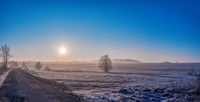 Misty and foggy winter landscape with a tree silhouette on a fog at sunrise, rural countryside, Vysocina region Czech Republic