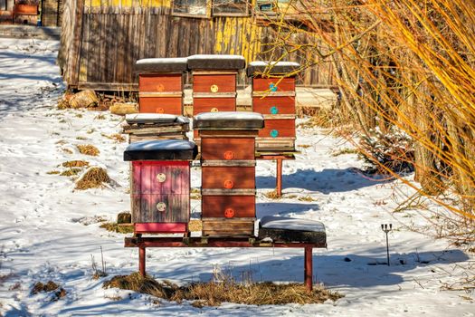 Snow covered group beehives in the winter garden. Czech Republic, Europe