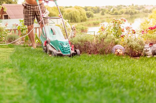 Natural background A man mows a lawn mower with a green lawn in his own garden near a flower garden in summer. Side view, horizontal. The concept of design, nature and landscaping.