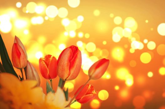 background with red tulips on a blurry texture bokeh. Beautiful card for mother's day, Valentine's day, women's day. banner with copy space for text. Template for congratulations.