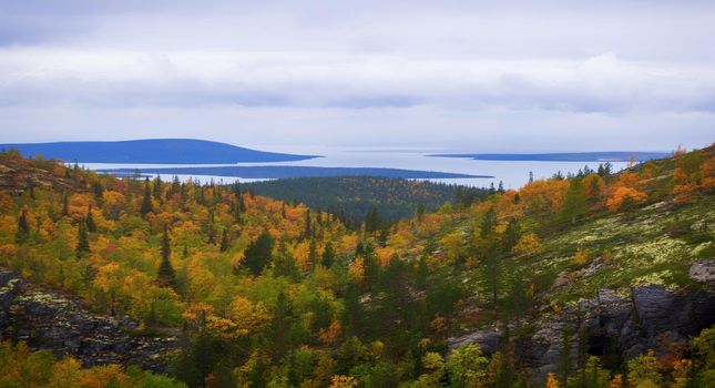 Path on the forest slope of the mountain in autumn in Khibiny, Kola Peninsula, Russia. photo