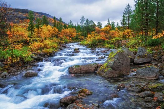 River in the Khibiny mountains in autumn. Autumn landscape. photo
