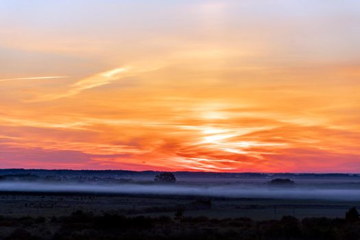 The heavenly light of the sun.Dramatic evening sky with clouds and rays of the sun.Sunlight at evening sunset or morning sunrise.Panoramic view of cirrus clouds in motion.Golden ray of the sun.Weather