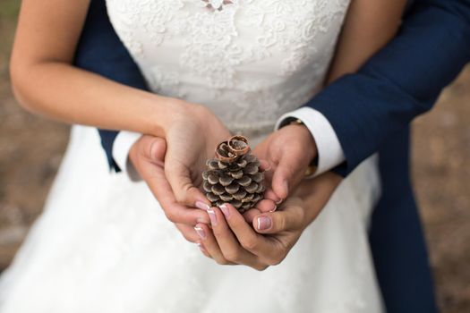 Groom embraces bride in a pine forest, their hands holding a lump