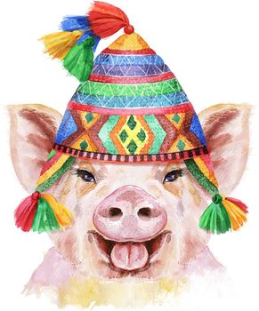 Cute piggy in Peruvian chullo hat. Pig for T-shirt graphics.