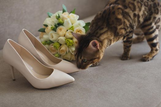 The bride's cat with a bouquet and shoes on the sofa.