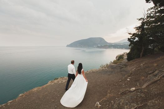 bride and groom on the precipice of the mountain. the ocean. sea.