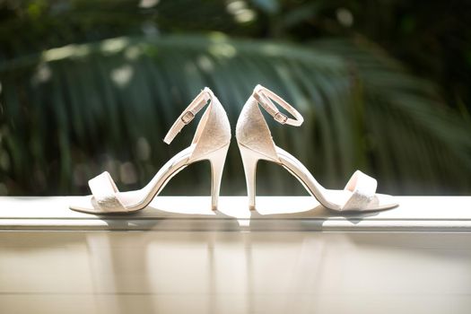 Elegant and stylish wedding shoes on a palm tree background