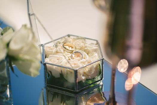 Two golden wedding rings in glass box