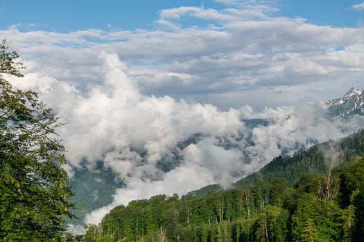 Caucasus mountains with trees and a clouds, Russia