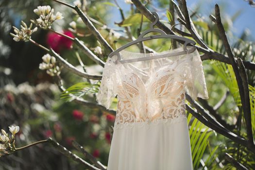 The wedding dress is hanging on a flowering tree.