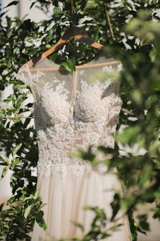 White wedding dress on hanger hanging from tree in the woods