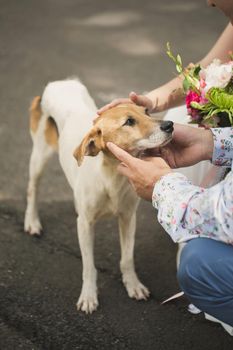 The bride and groom pet the dog on the wedding day.