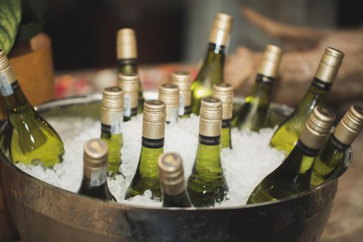 Glass bottles of wine in an ice bucket.