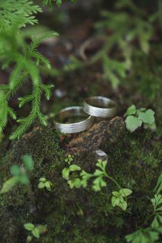 Golden wedding rings on green moss in forest