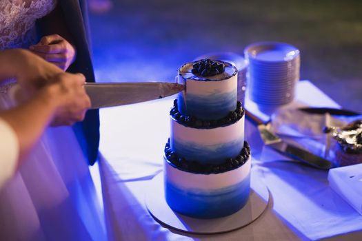 Beautiful blue wedding cake with blueberry decor.