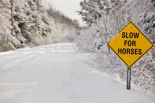 A Yellow Warning Sign reading Slow for Horses on a rural road in the winter. High quality photo
