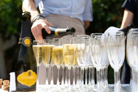 Rows of champagne flutes on bar counter