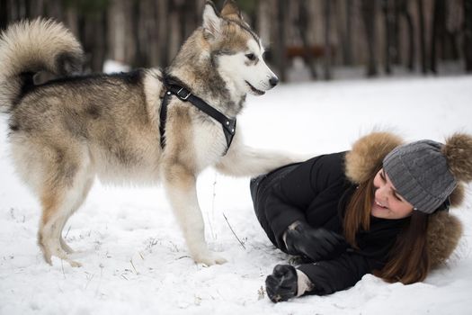 Beautiful girl in winter forest with dog. Play with the dog Siberian husky.