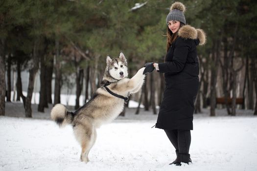 Beautiful girl in winter forest with dog. Play with the dog Siberian husky.