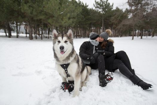 Beautiful family, a man and a girl in winter forest with dog. Play with the dog Siberian husky.