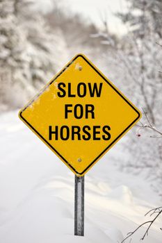 A Yellow Warning Sign reading Slow for Horses on a rural road in the winter. High quality photo