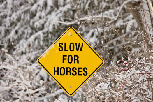 A Yellow Warning Sign reading Slow for Horses on a rural road in the winter. High quality photo