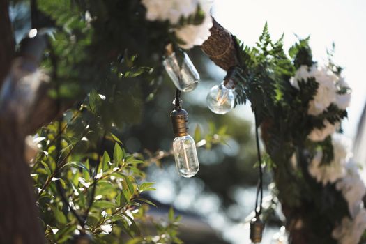 Burning light bulb hanging from a tree in a garden decoration wedding celebration